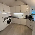 Viktoria's Penthouse 巴特布雷希格