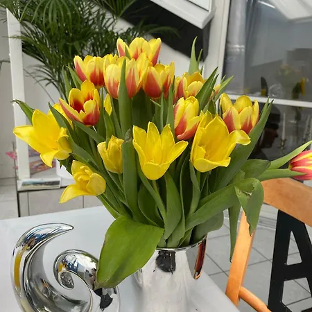 Appartement Viktoria's Penthouse Bad Breisig