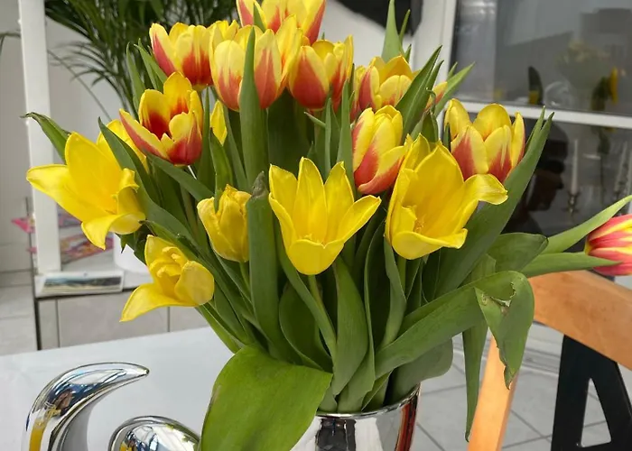 Apartamento Viktoria's Penthouse Bad Breisig